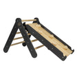 Ladder with a Slide - Climbing Wall - Black