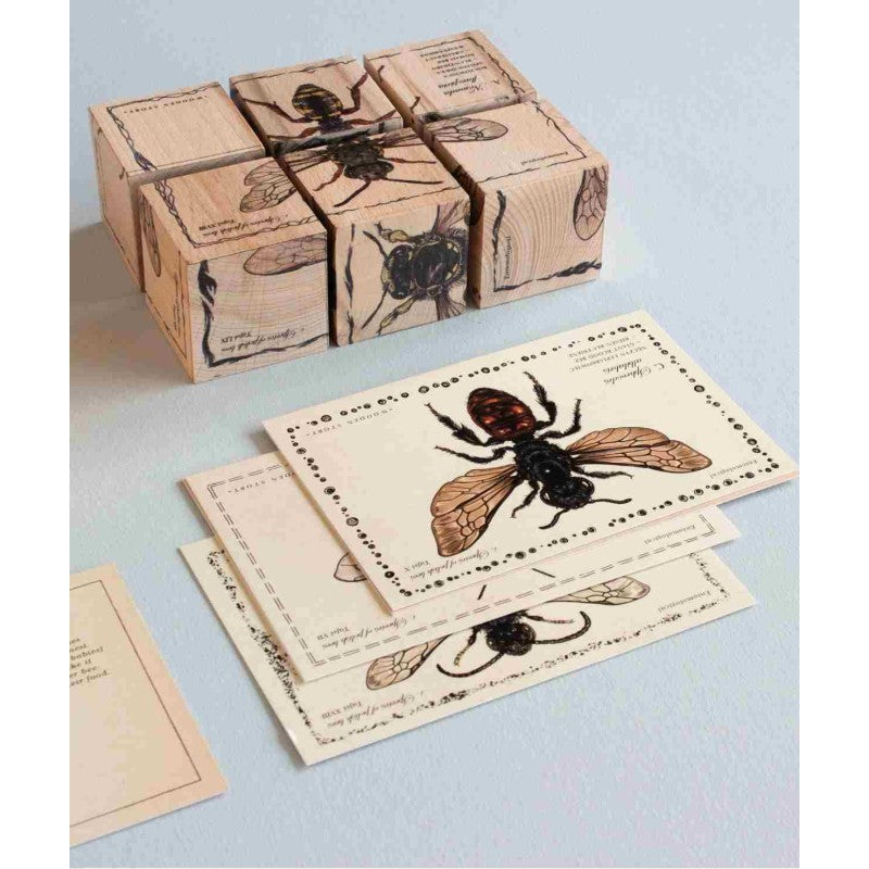 Wooden Blocks Bee Life - Species